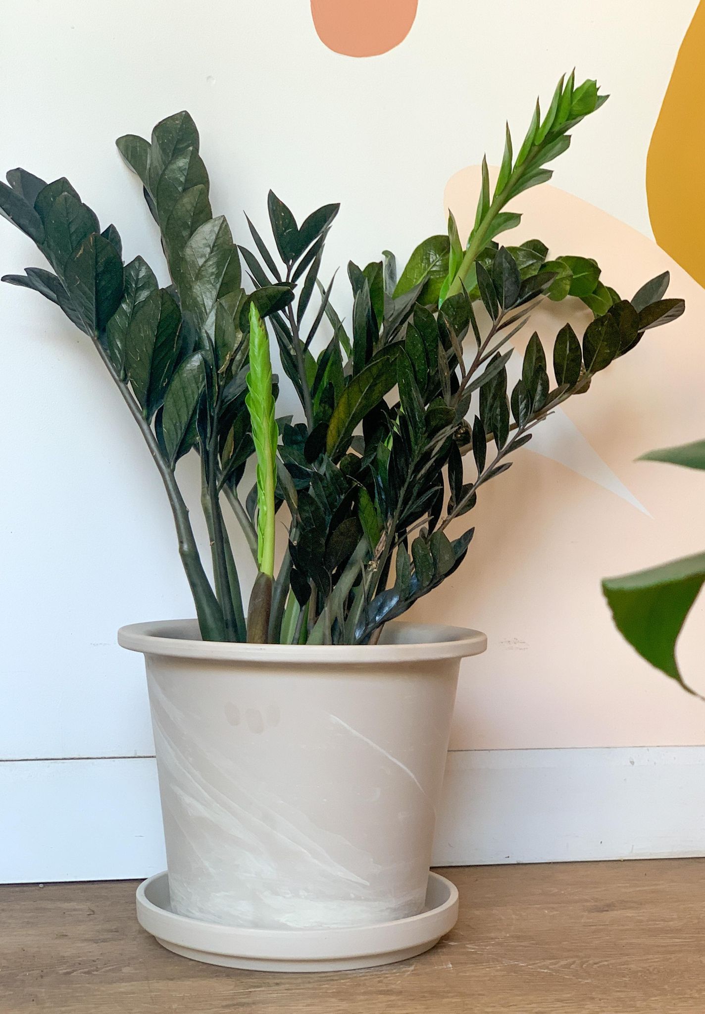 Pot cylindre en terre cuite - granite - Alma Plantes