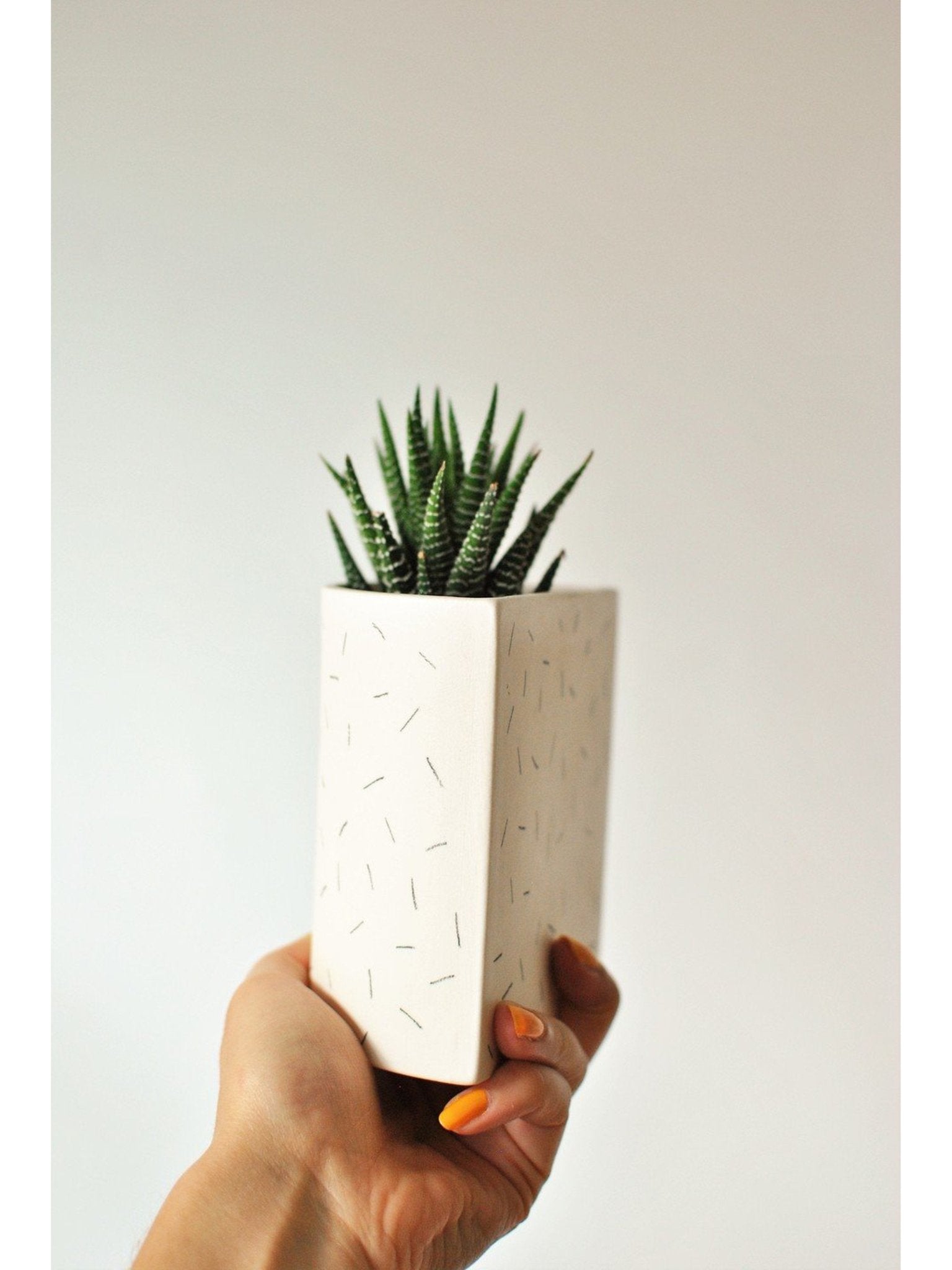 Pot Demi - lune - Alma Plantes