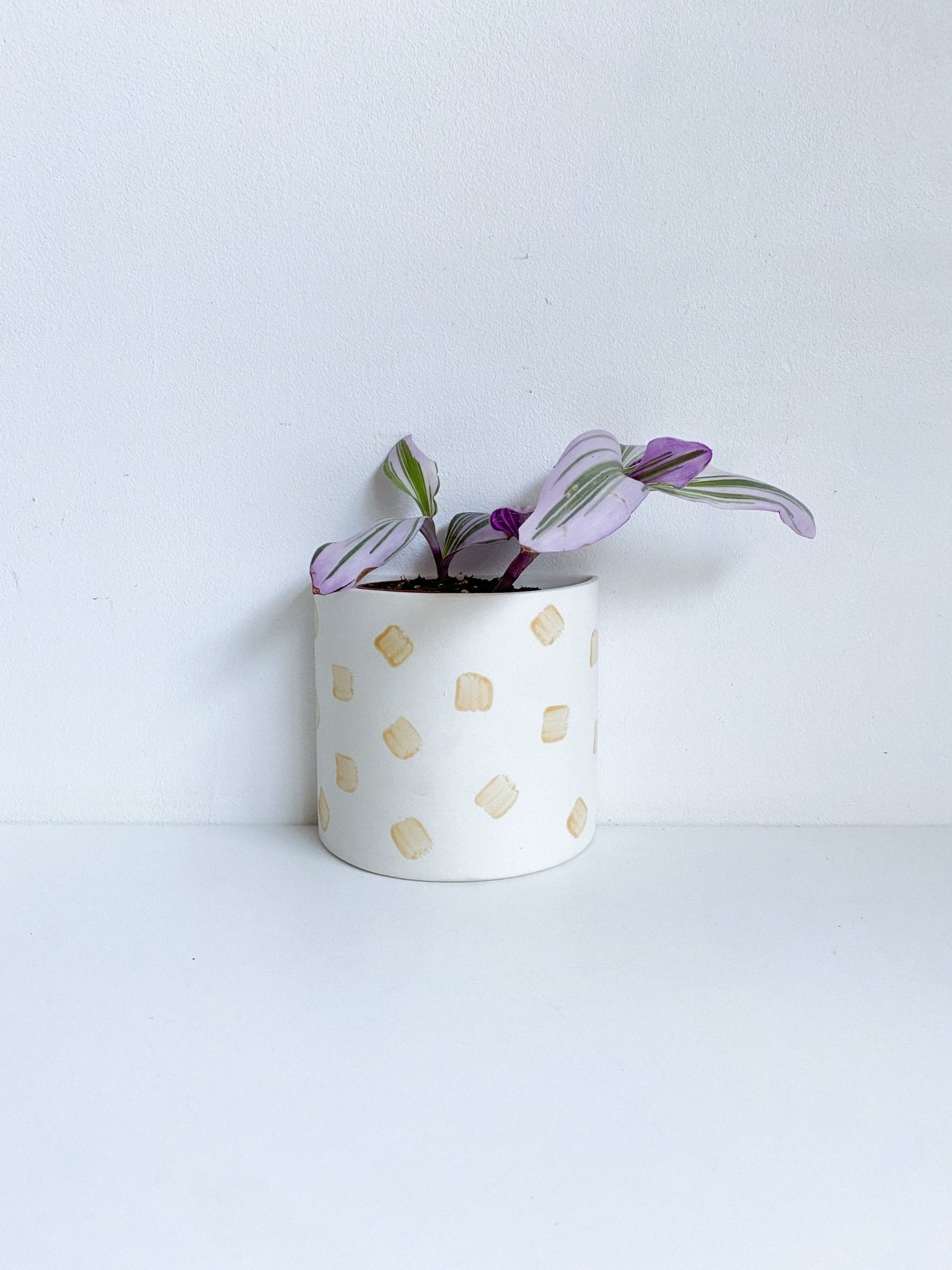 Pot Demi - lune - Alma Plantes
