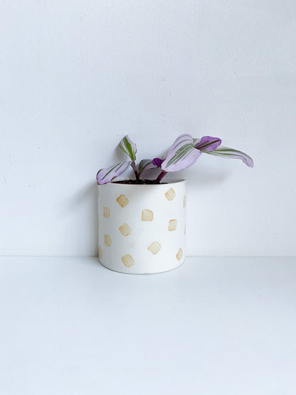 Pot Demi - lune - Alma Plantes