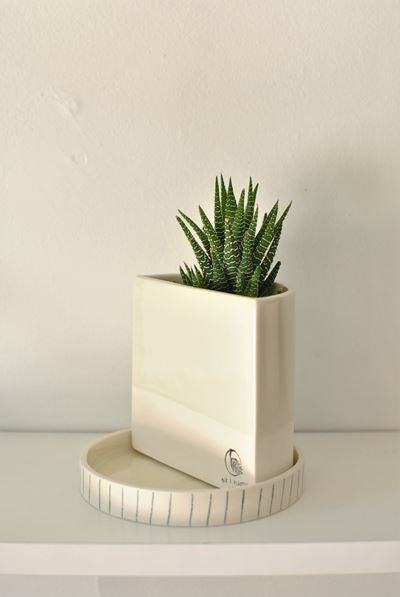 Pot Demi - lune - Alma Plantes