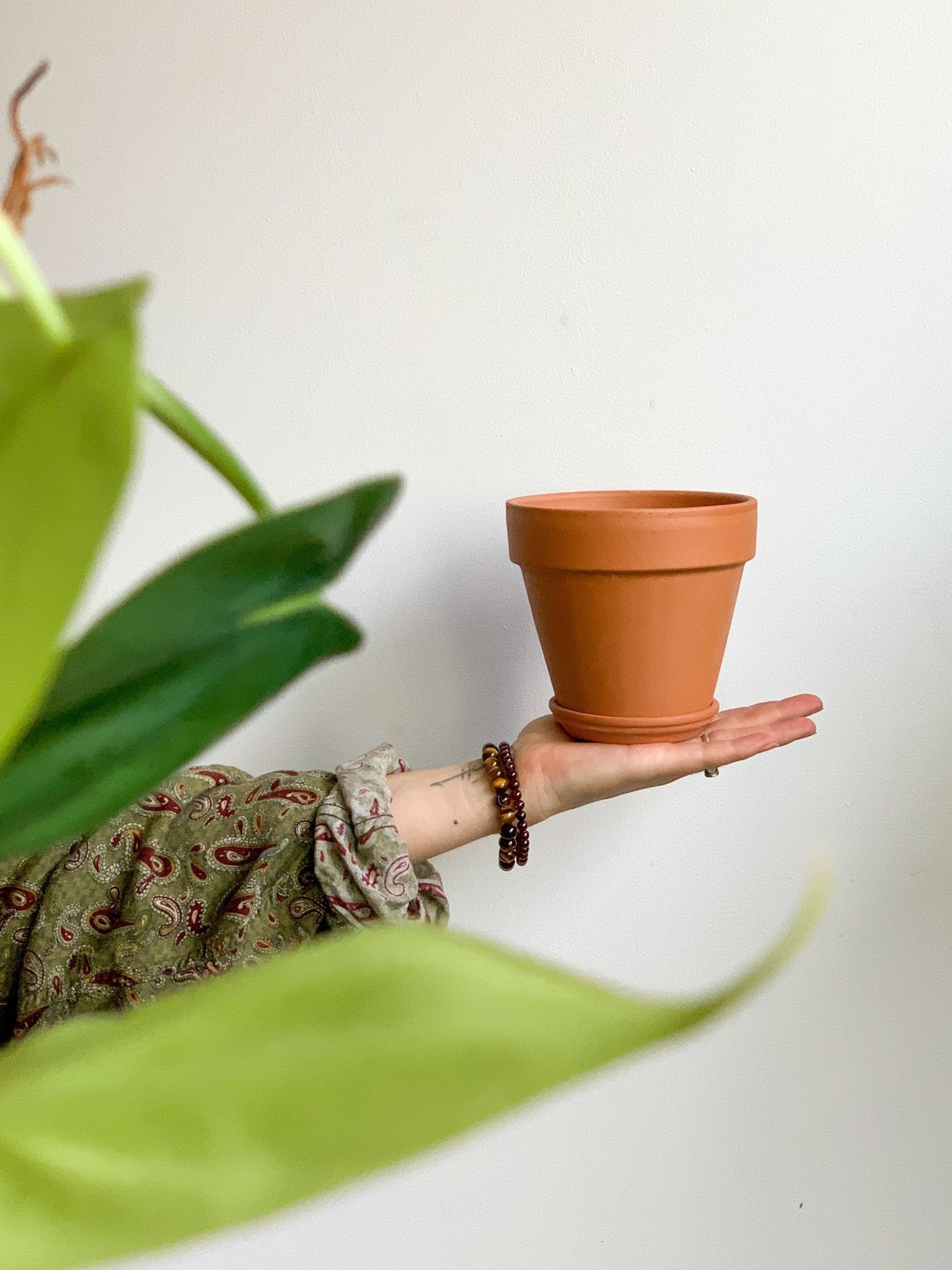 Pot en terre cuite classique - Alma Plantes