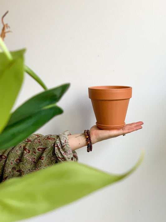 Pot en terre cuite classique - Alma Plantes