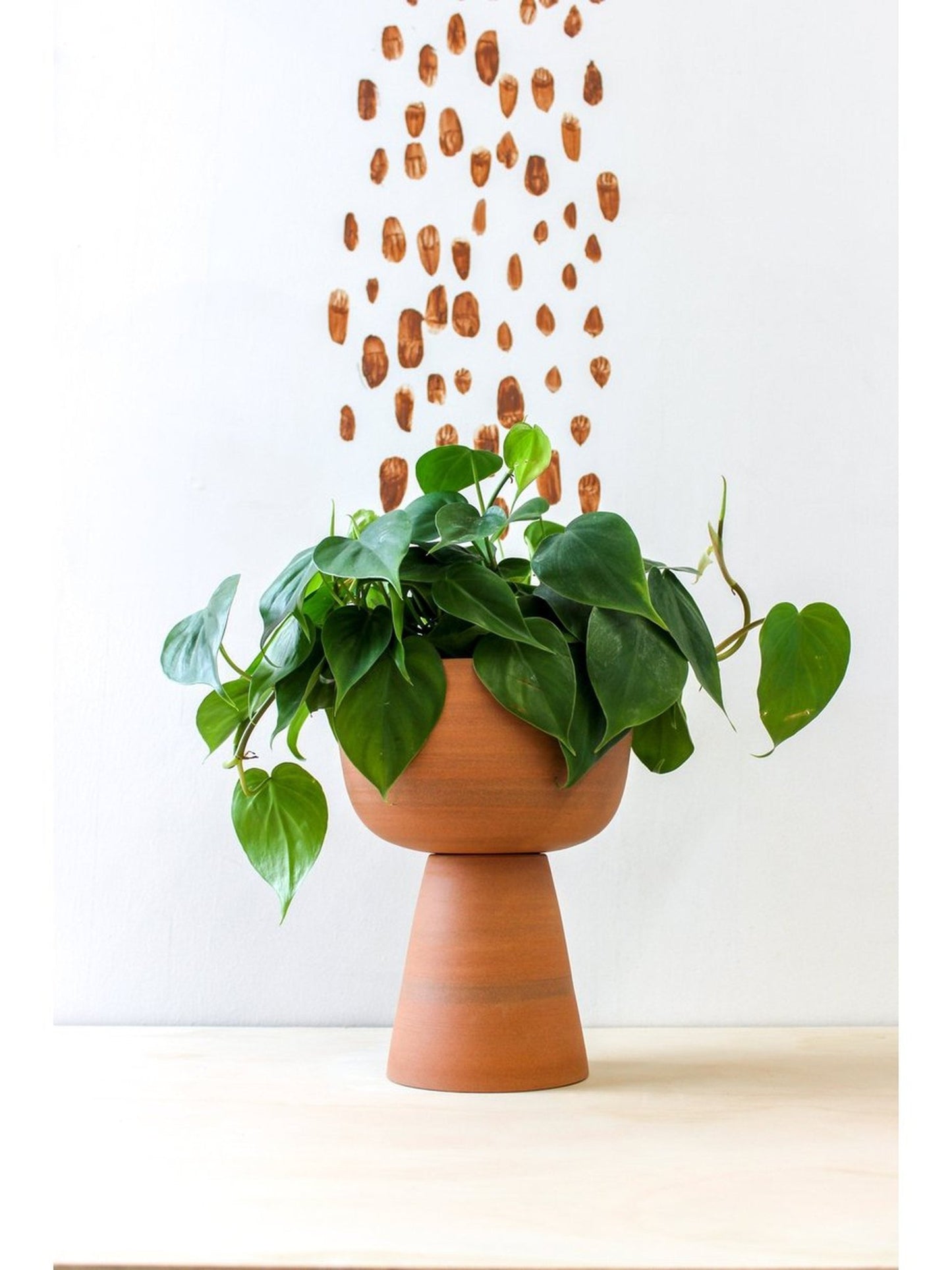 pot Guillaume - Alma Plantes