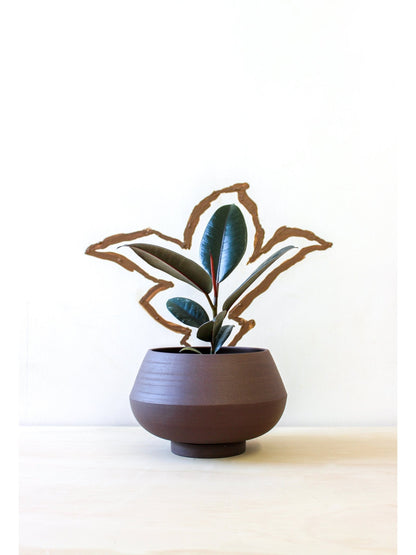 pot Ingie - Alma Plantes