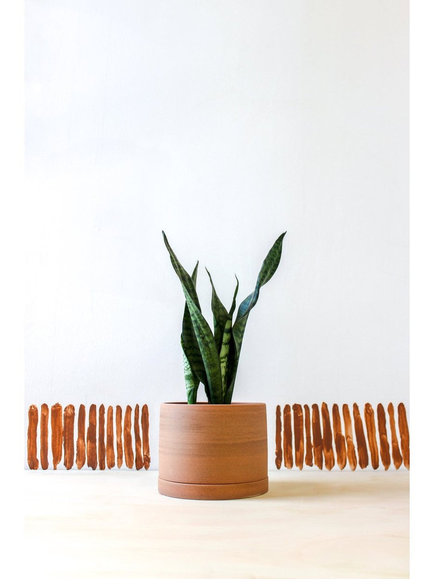 pot Karen - Alma Plantes