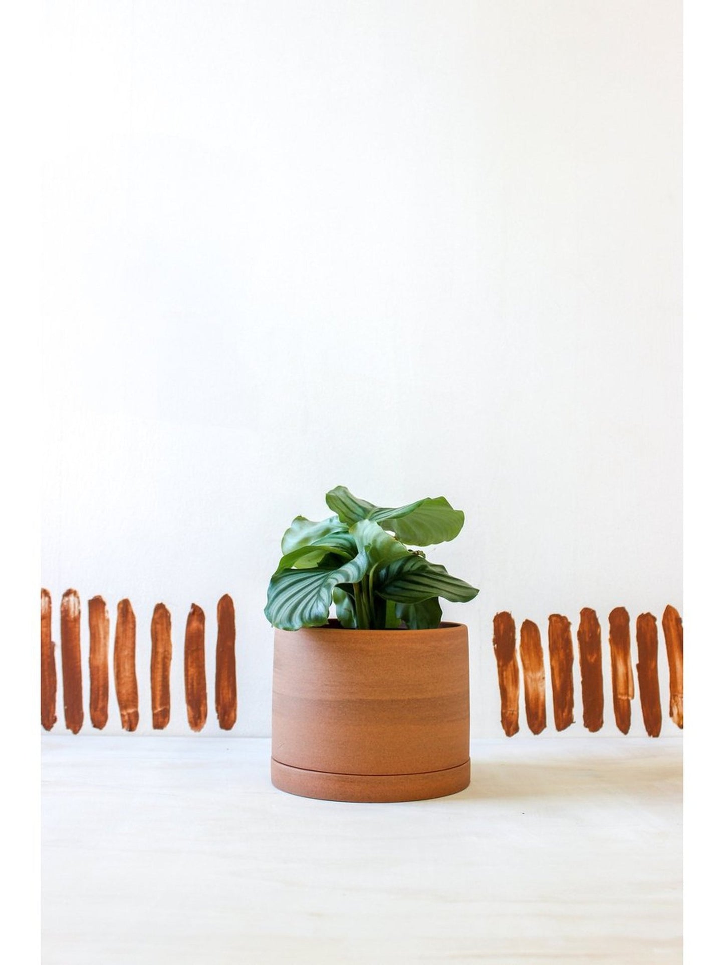 pot Karen - Alma Plantes