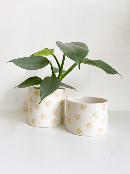 Pot lune 'carrés' - Alma Plantes