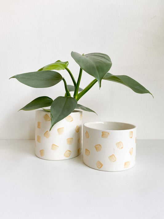 Pot lune 'carrés' - Alma Plantes