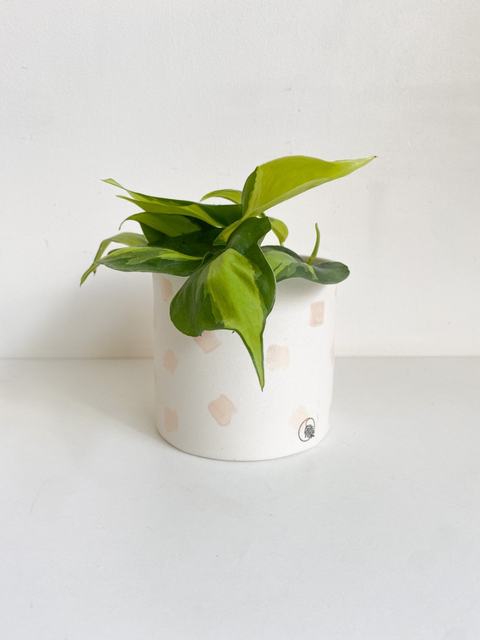 Pot lune 'carrés' - Alma Plantes