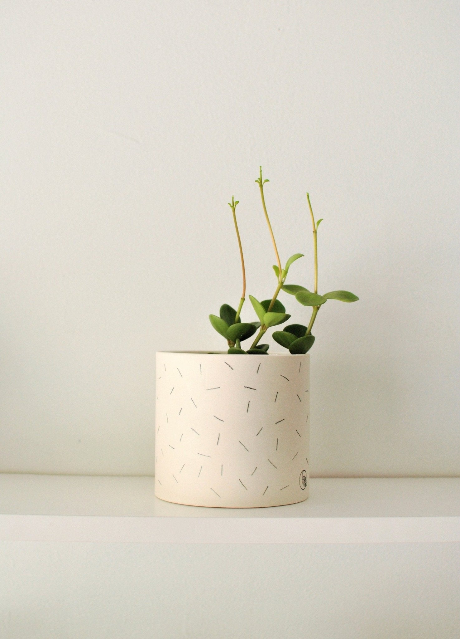 Pot lune 'confettis' - Alma Plantes