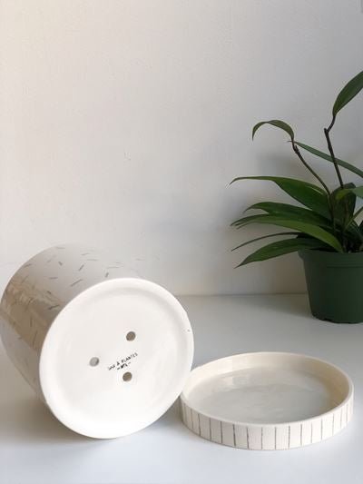 Pot lune 'éclats noirs' - Alma Plantes