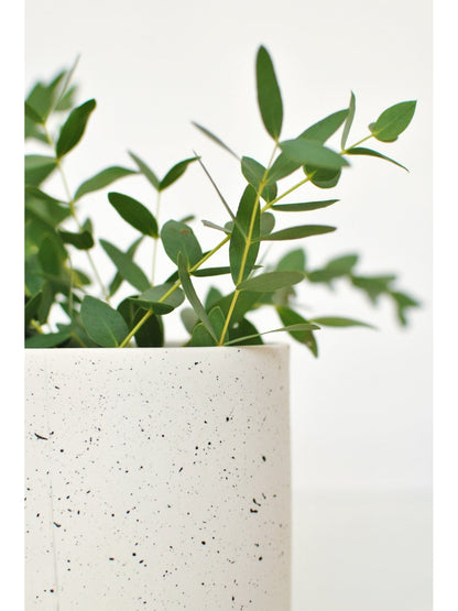 Pot lune 'éclats noirs' - Alma Plantes