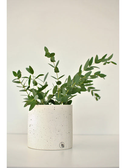 Pot lune 'éclats noirs' - Alma Plantes