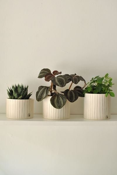 Pot lune 'rayures' - Alma Plantes
