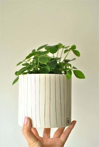 Pot lune 'rayures' - Alma Plantes