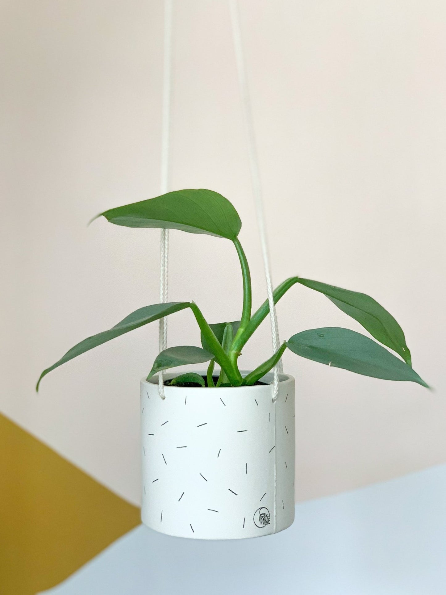 Pot lune suspendu 'confettis' - Alma Plantes