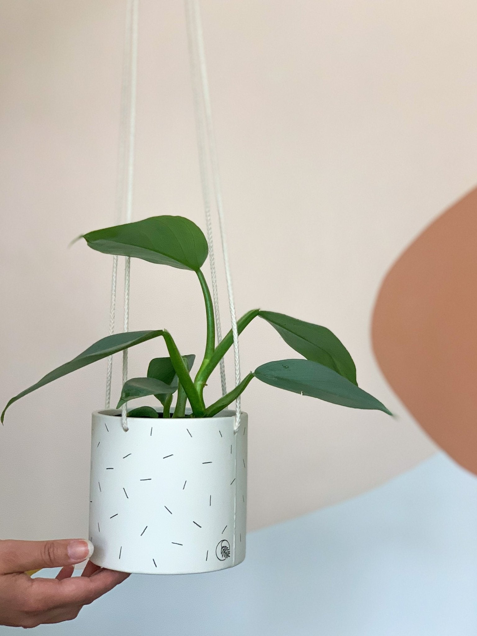 Pot lune suspendu 'confettis' - Alma Plantes