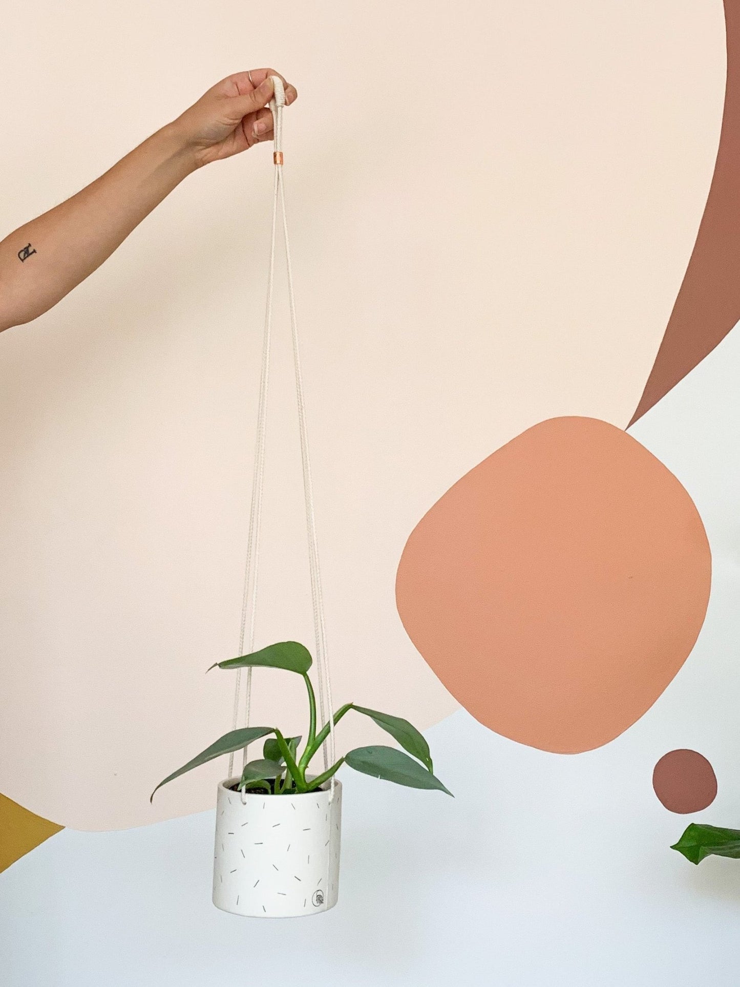 Pot lune suspendu 'confettis' - Alma Plantes