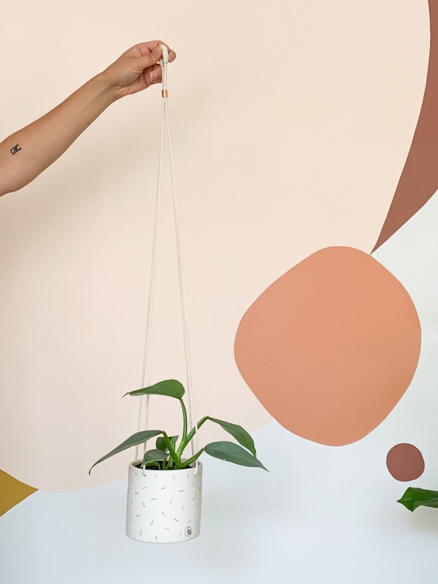 Pot lune suspendu 'confettis' - Alma Plantes