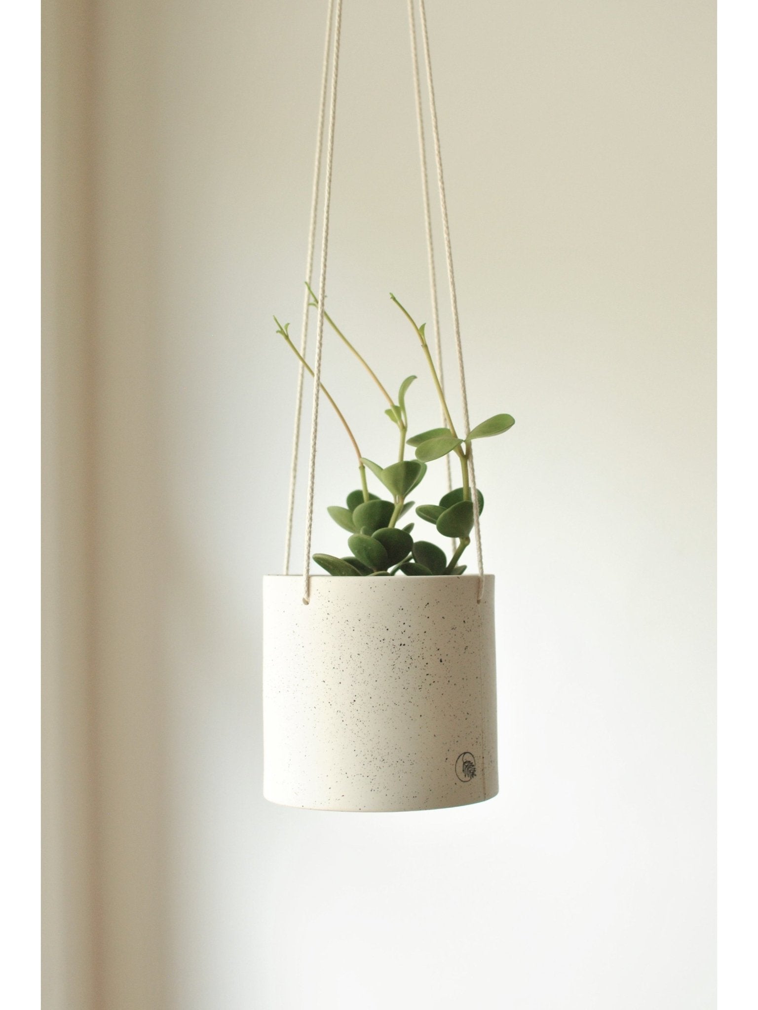 Pot lune suspendu 'éclats noirs' - Alma Plantes