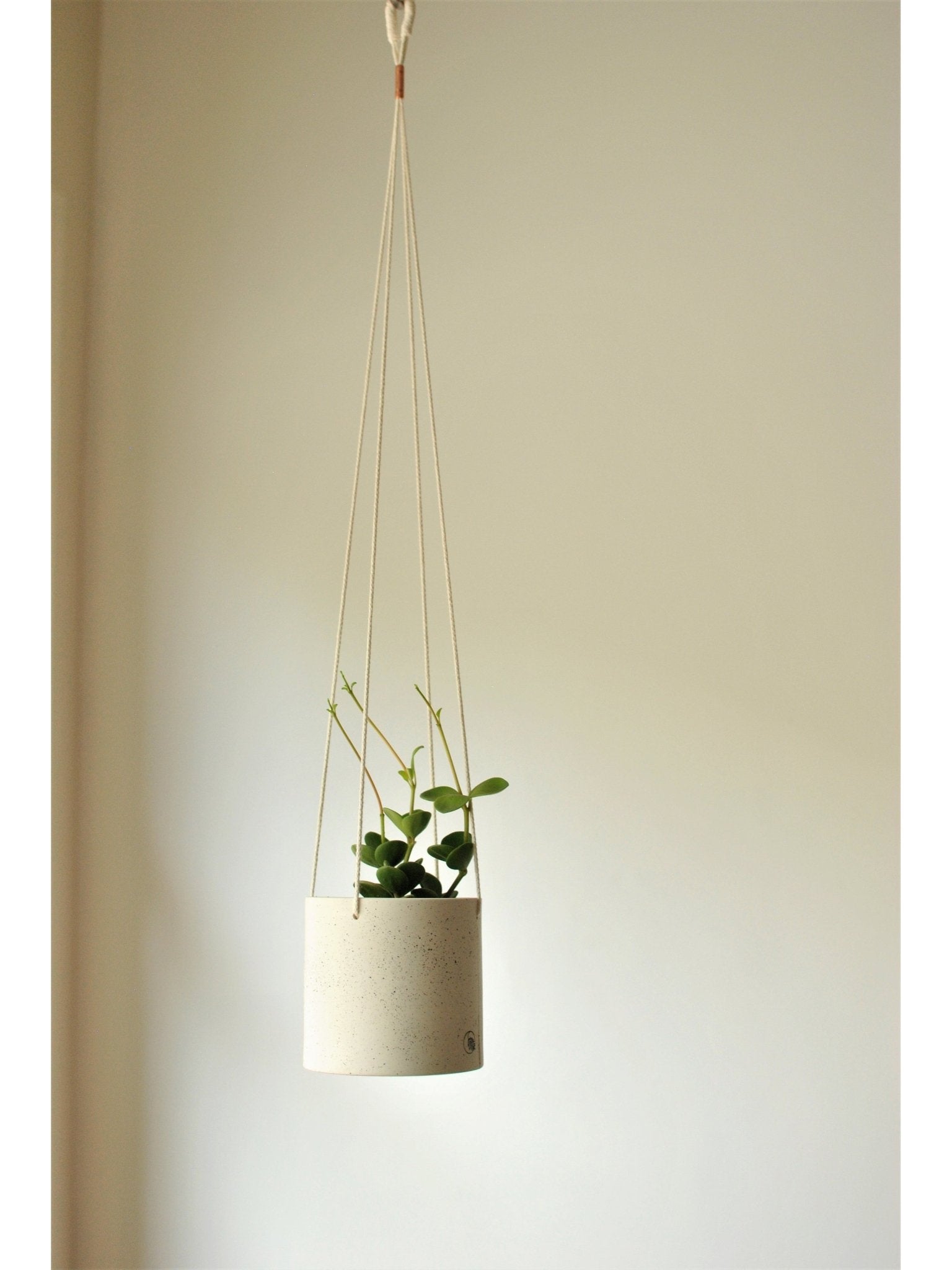 Pot lune suspendu 'éclats noirs' - Alma Plantes