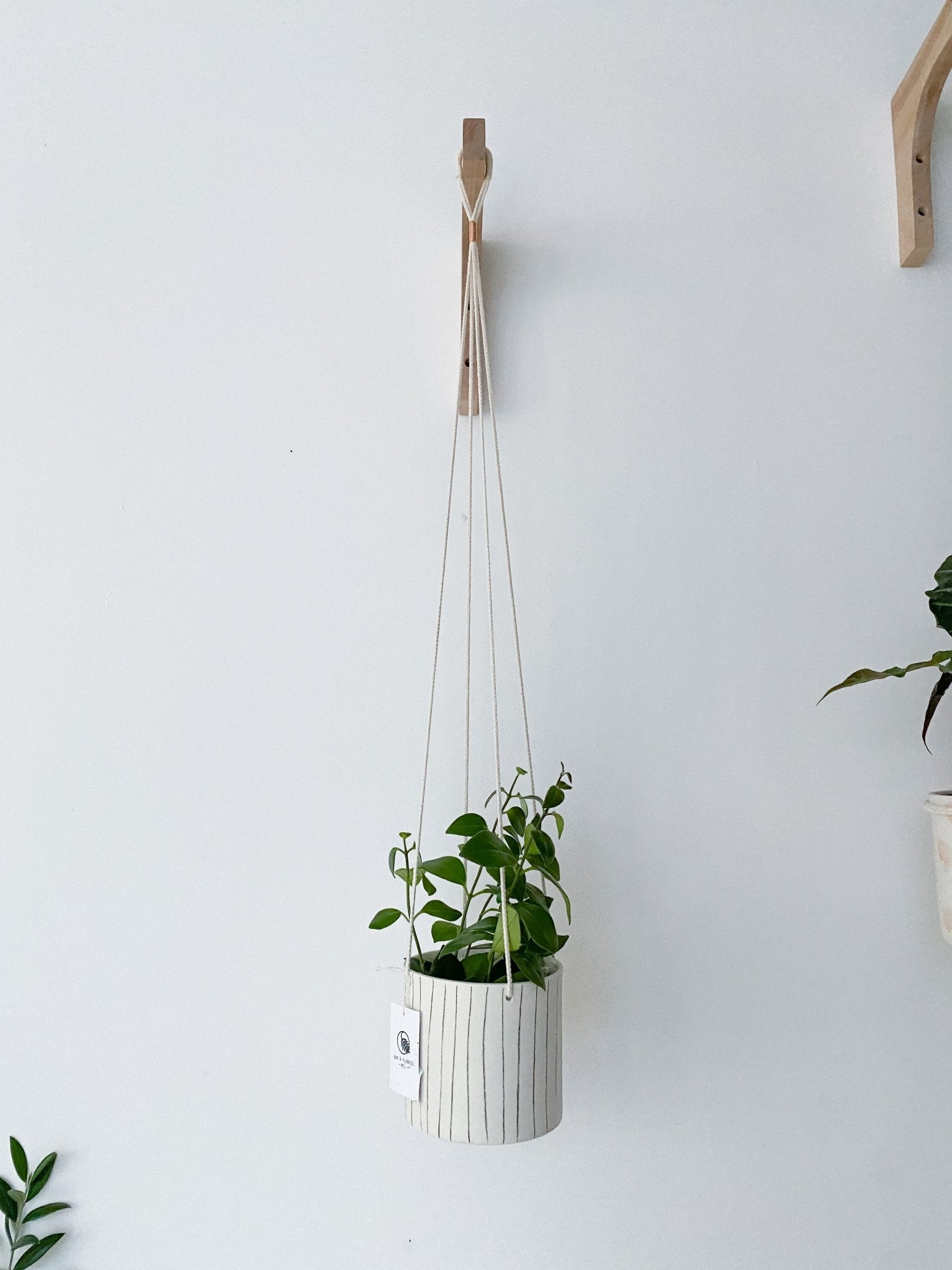 Pot lune suspendu 'rayé' - Alma Plantes