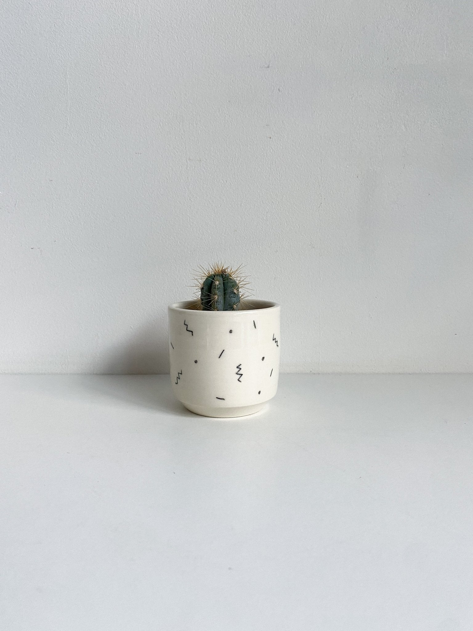 Pot mini - Alma Plantes