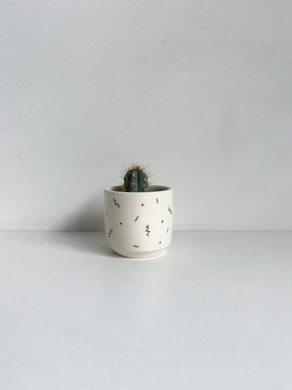 Pot mini - Alma Plantes