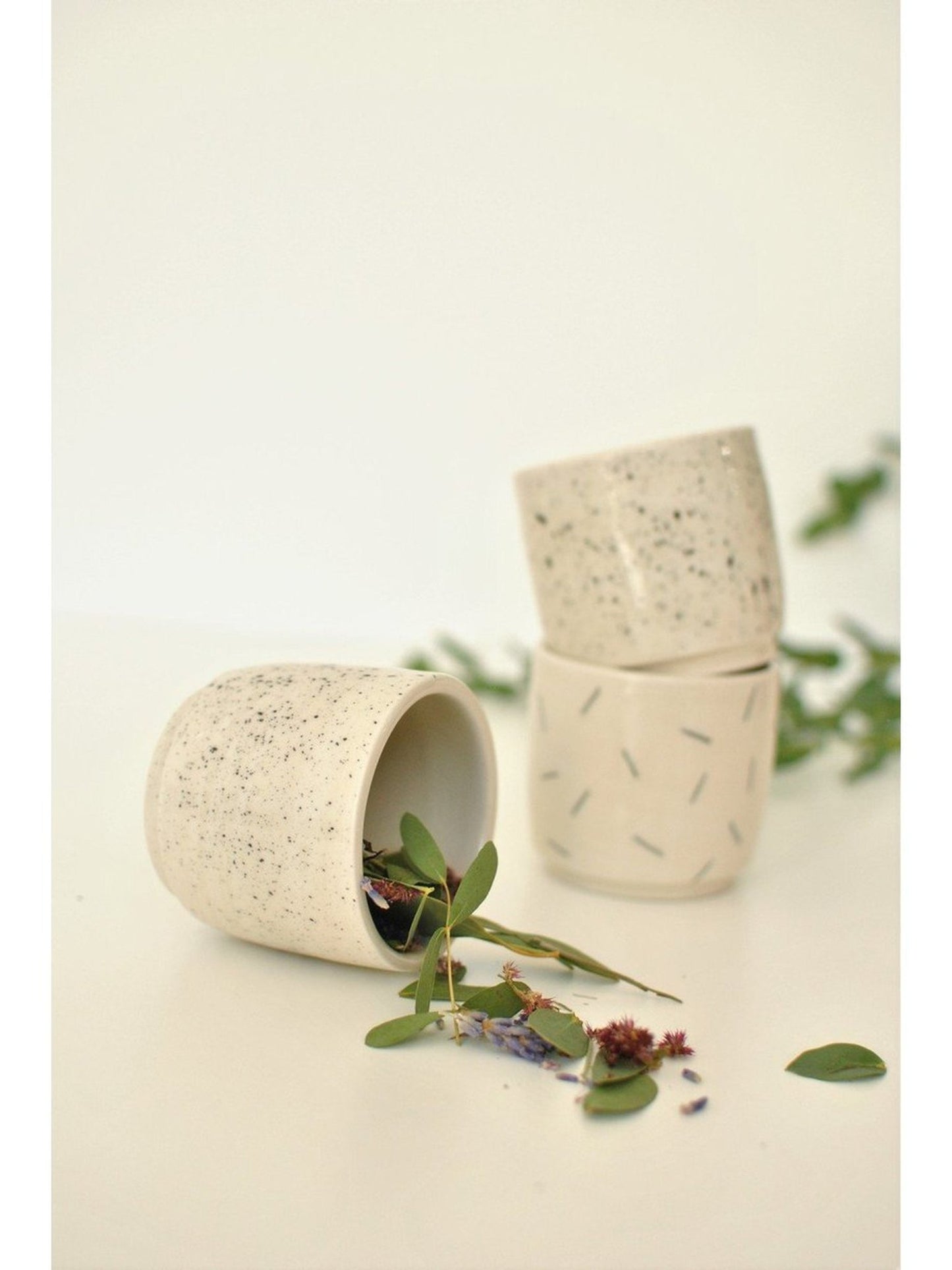 Pot mini - Alma Plantes