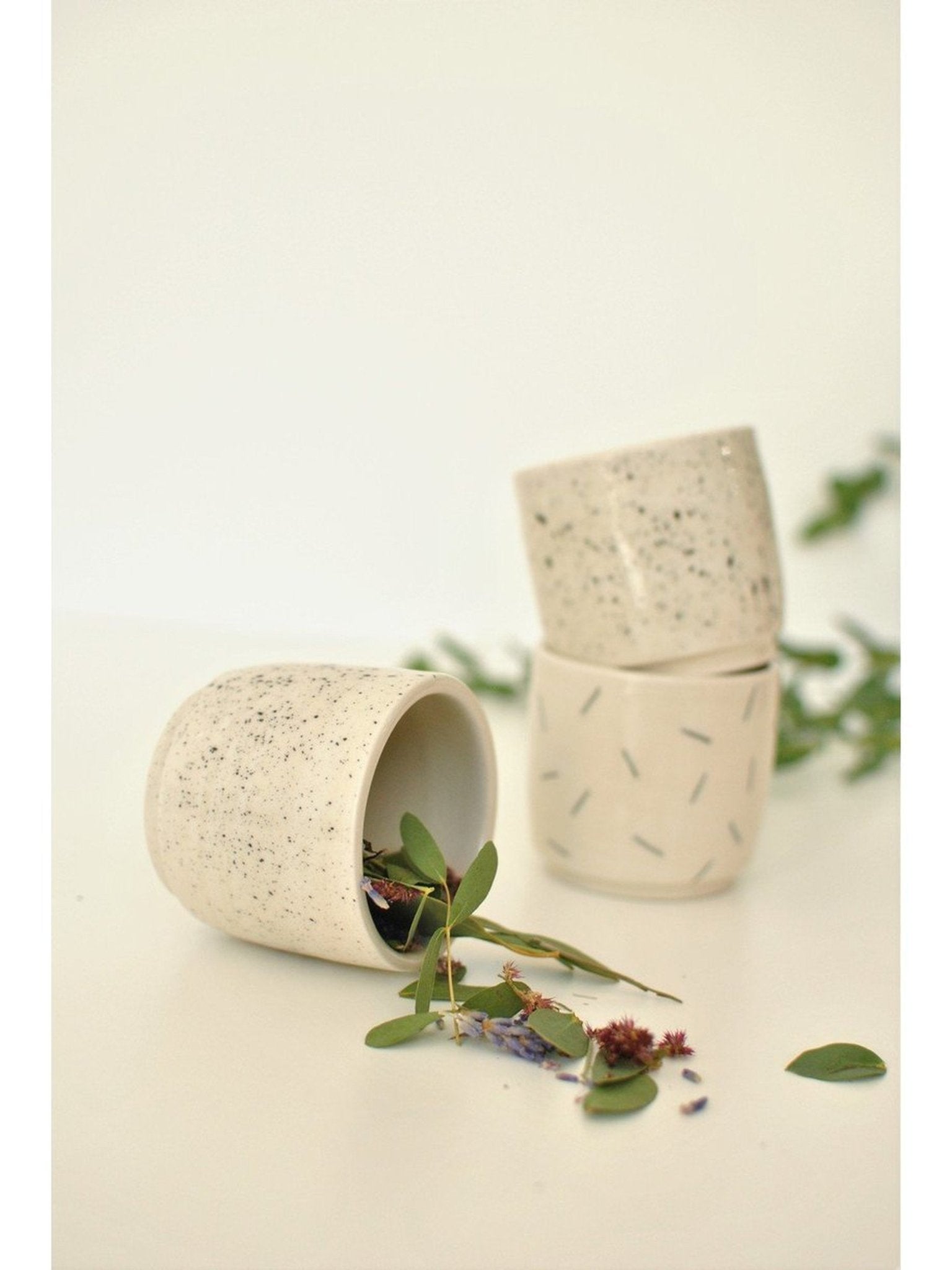 Pot mini - Alma Plantes