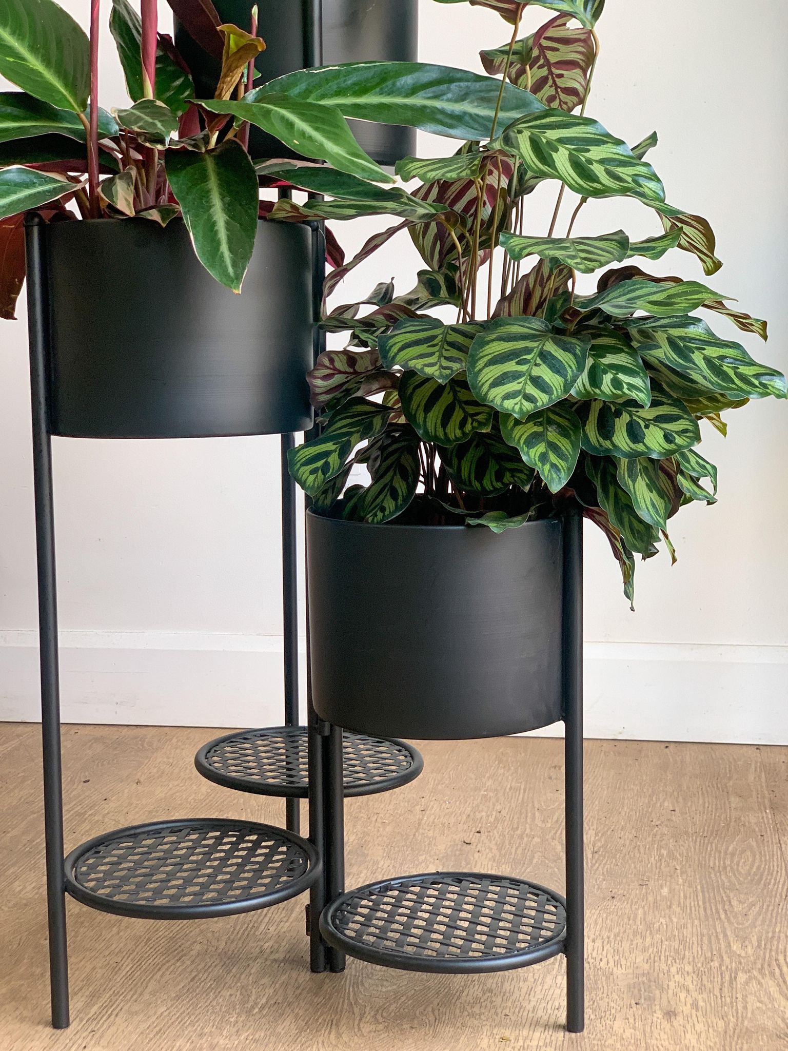 Support pour pots en fer - noir - Alma Plantes