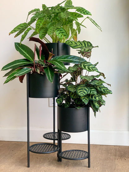 Support pour pots en fer - noir - Alma Plantes