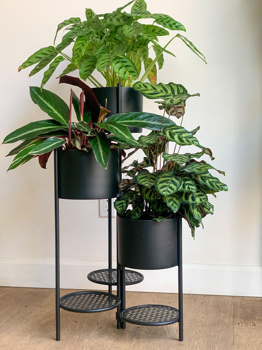 Support pour pots en fer - noir - Alma Plantes