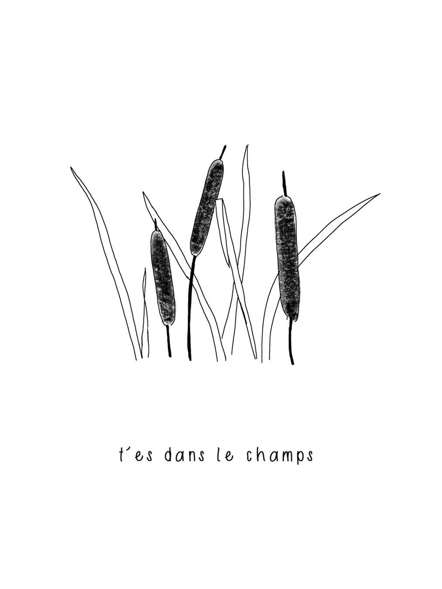 Illustration Tes Dans Le Champ