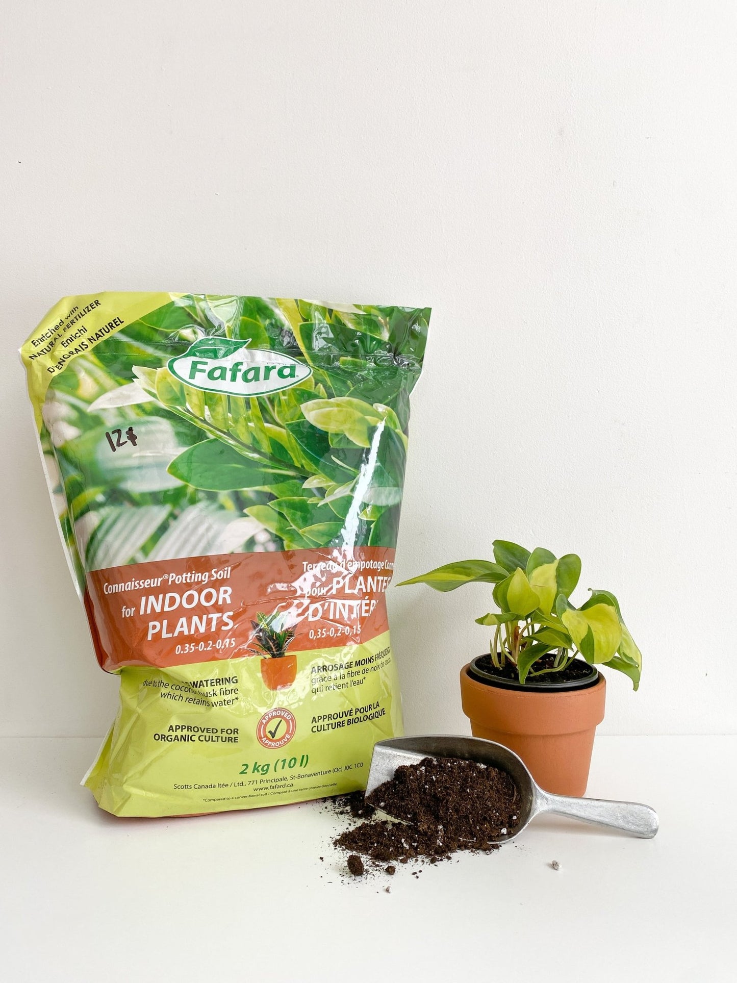 Terreau pour plantes d'intérieur (Fafard) - Alma Plantes