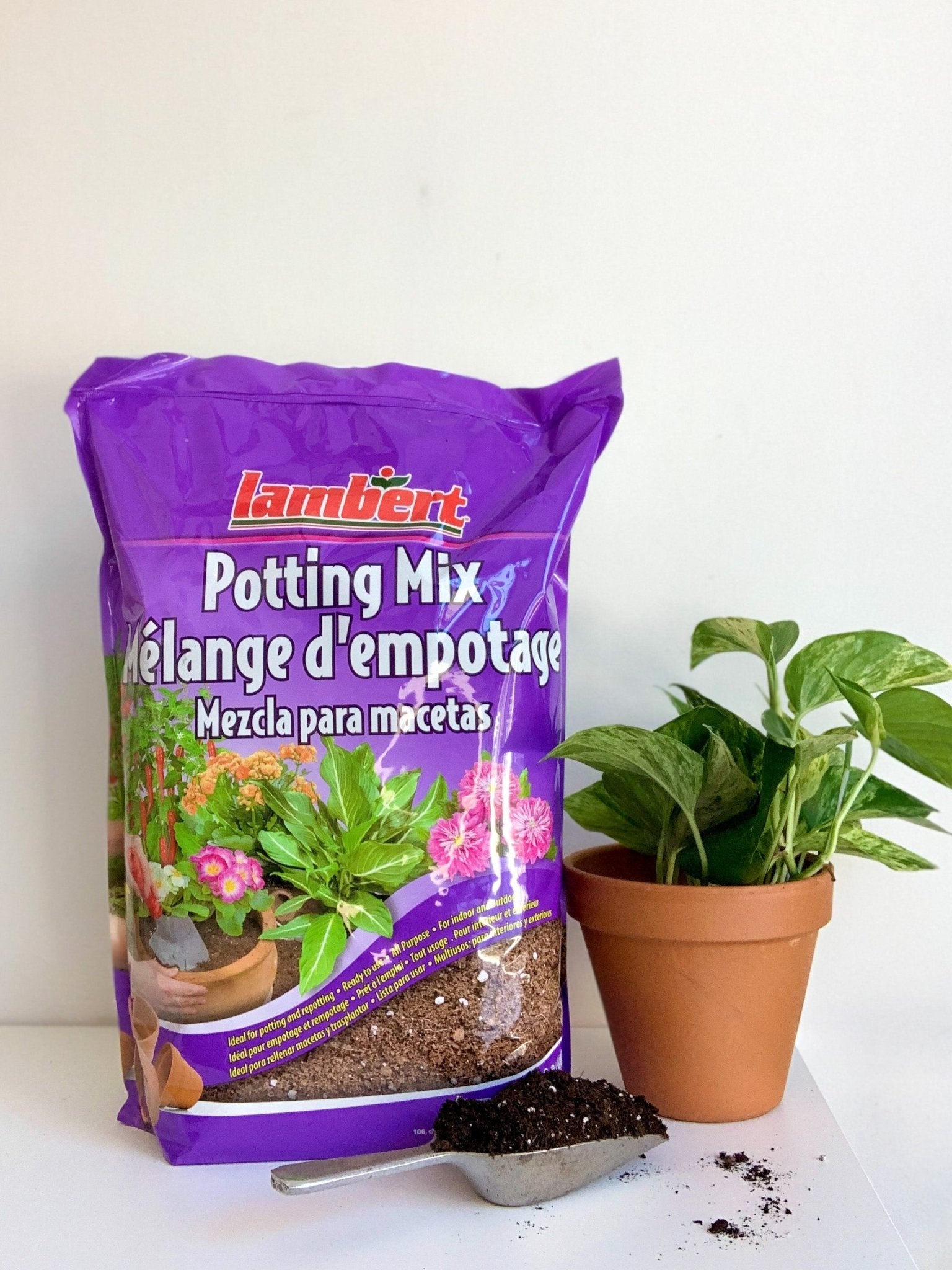 Terreau pour plantes d'intérieur (Lambert) - Alma Plantes