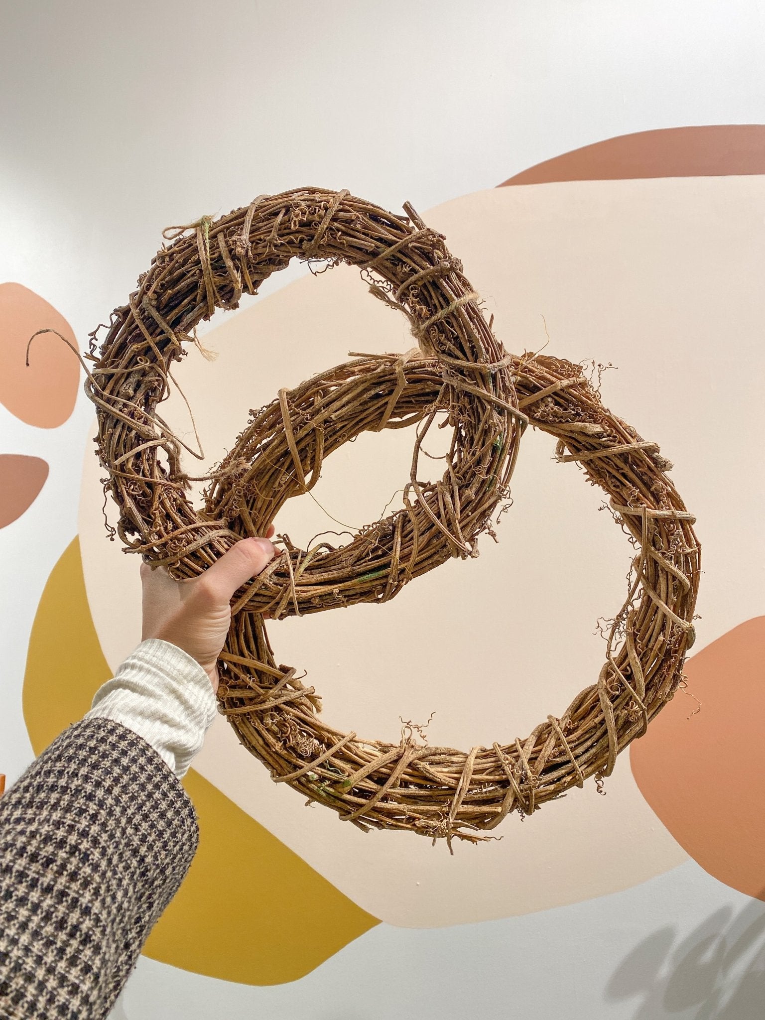 Vigne naturelle - Alma Plantes